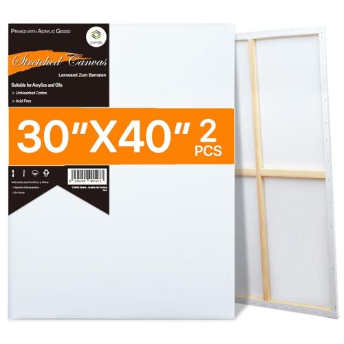 Set 2 Lienzos Blancos Para Pintar, Sin Empaque, 22222200106143, 15