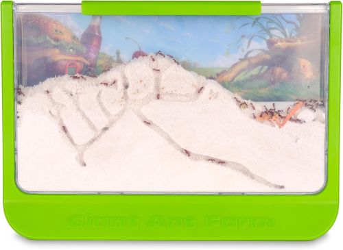 Granja de Hormigas Uncle Milton 33x22cm, Sin Empaque, 14, 22222200120845